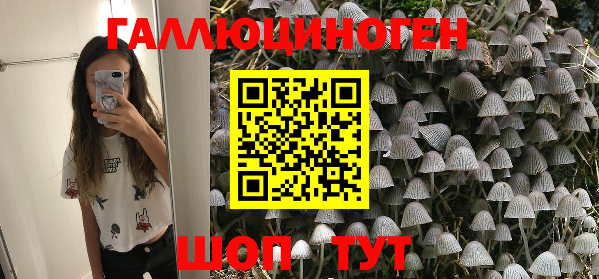 Кувандык  Псилоцибиновые грибы Psilocybe  Вход с VPN 
